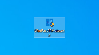 WinPass11