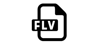 FLV to MP3 Converter