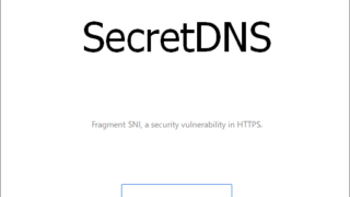 SecretDNS