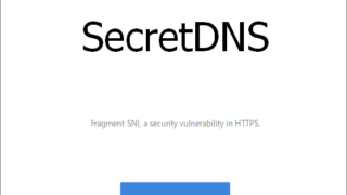 SecretDNS